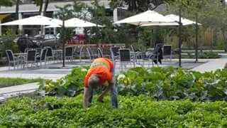 Sfeerimpressie van Tuinieren in een moestuin, bloementuin en siertuin bij  InteraktContour de Paraplu