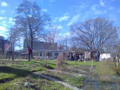 Sfeerimpressie van Werken bij Food for Good: Sociale stadstuinderij bij  Stichting Utrecht Natuurlijk