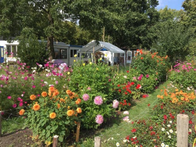 Sfeerimpressie van Werken bij Food for Good: Sociale stadstuinderij bij  Stichting Utrecht Natuurlijk